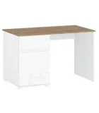 Manicure Table VIGO/120 white glossy order